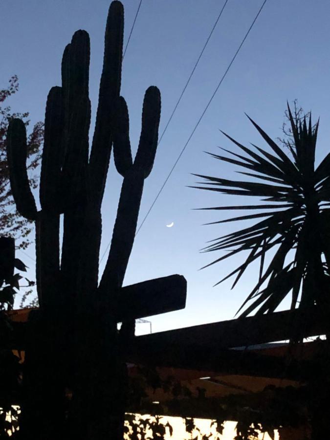 La Casita Del Cactus - Casa De Campo Con Piscina Alcalá de Guadaira Dış mekan fotoğraf