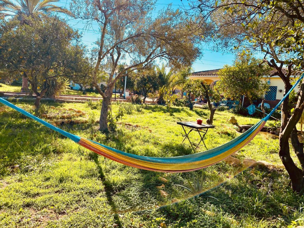 La Casita Del Cactus - Casa De Campo Con Piscina Alcalá de Guadaira Dış mekan fotoğraf