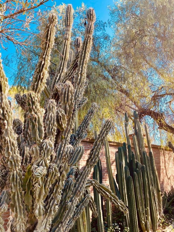 La Casita Del Cactus - Casa De Campo Con Piscina Alcalá de Guadaira Dış mekan fotoğraf