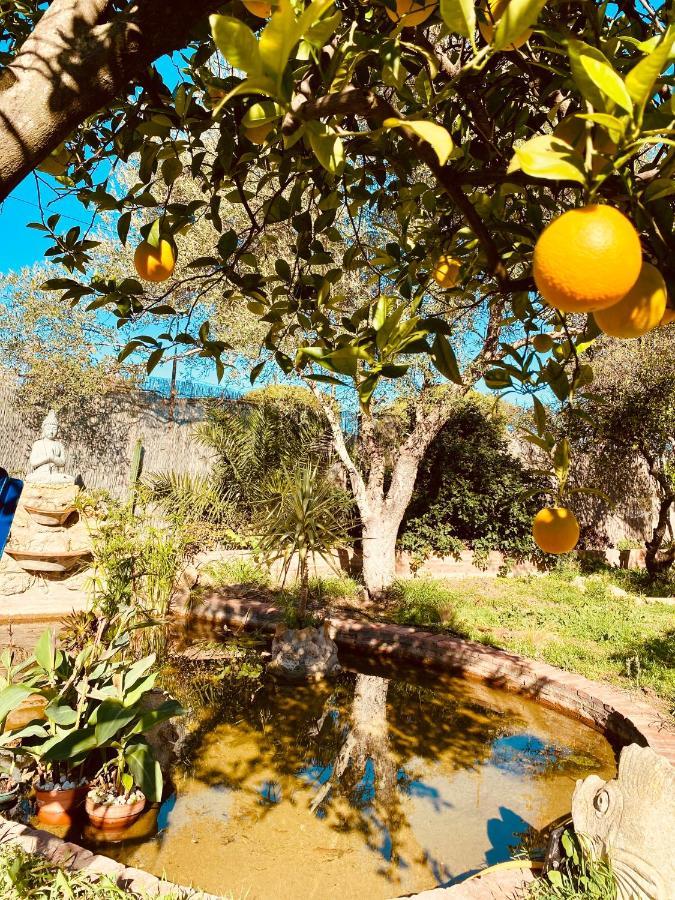 La Casita Del Cactus - Casa De Campo Con Piscina Alcalá de Guadaira Dış mekan fotoğraf
